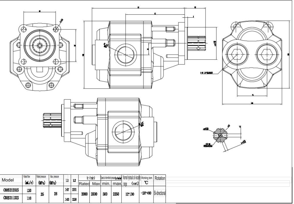 CBHST1-ISO-110 110 cc/rev 液压齿轮泵 drawing image