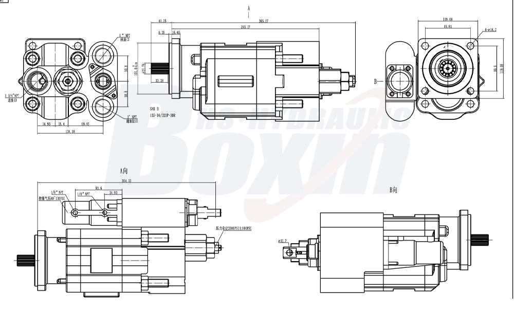 C102 100 毫升/转 20 MPa (2900 psi) 液压齿轮泵 drawing image