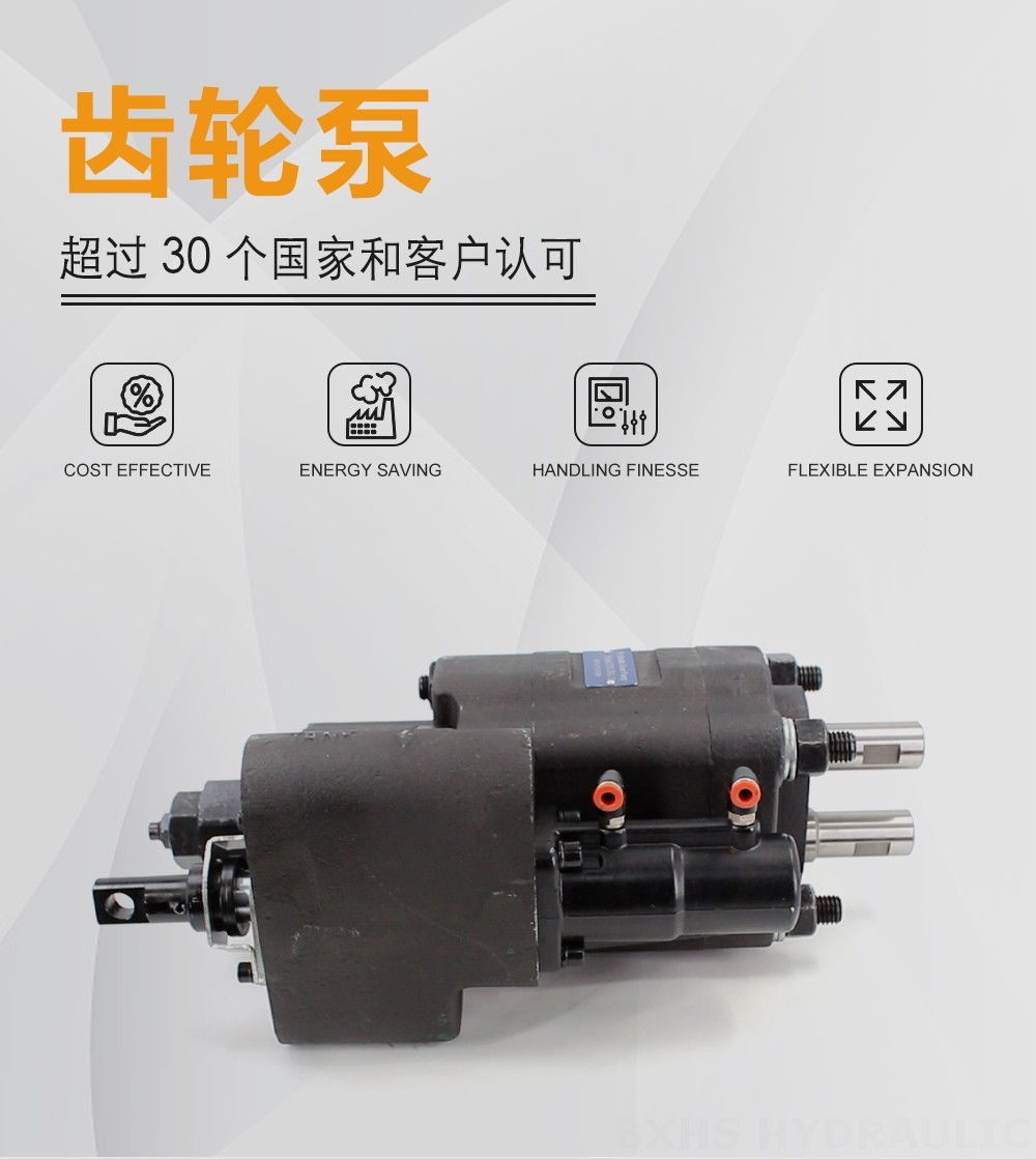 C101-25-LAS 112 cc/rev 液压齿轮泵