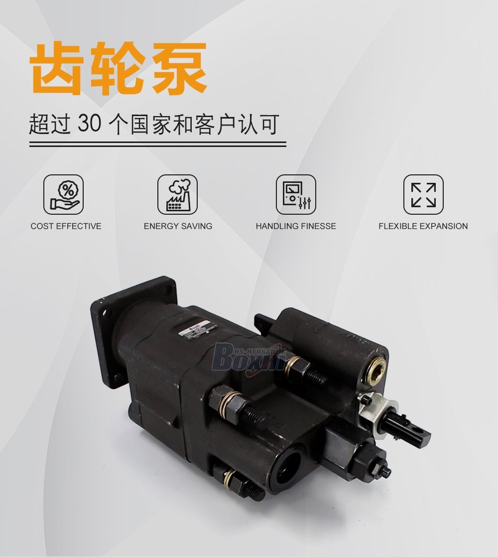 C102-LMS-25 100 毫升/转 20 MPa (2900 psi) 液压齿轮泵