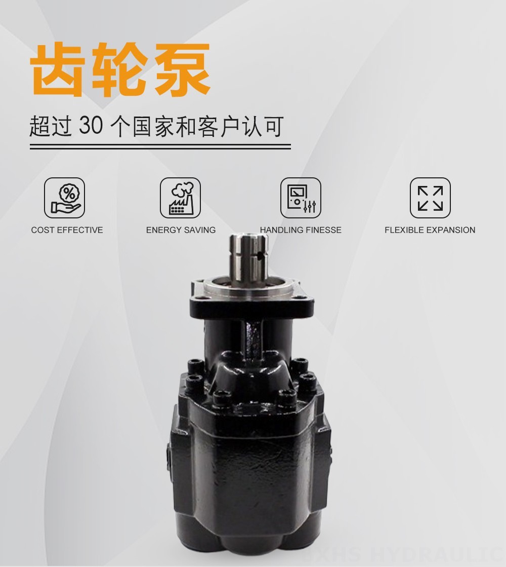 CBHST1-ISO-100 100 cc/rev 液压齿轮泵