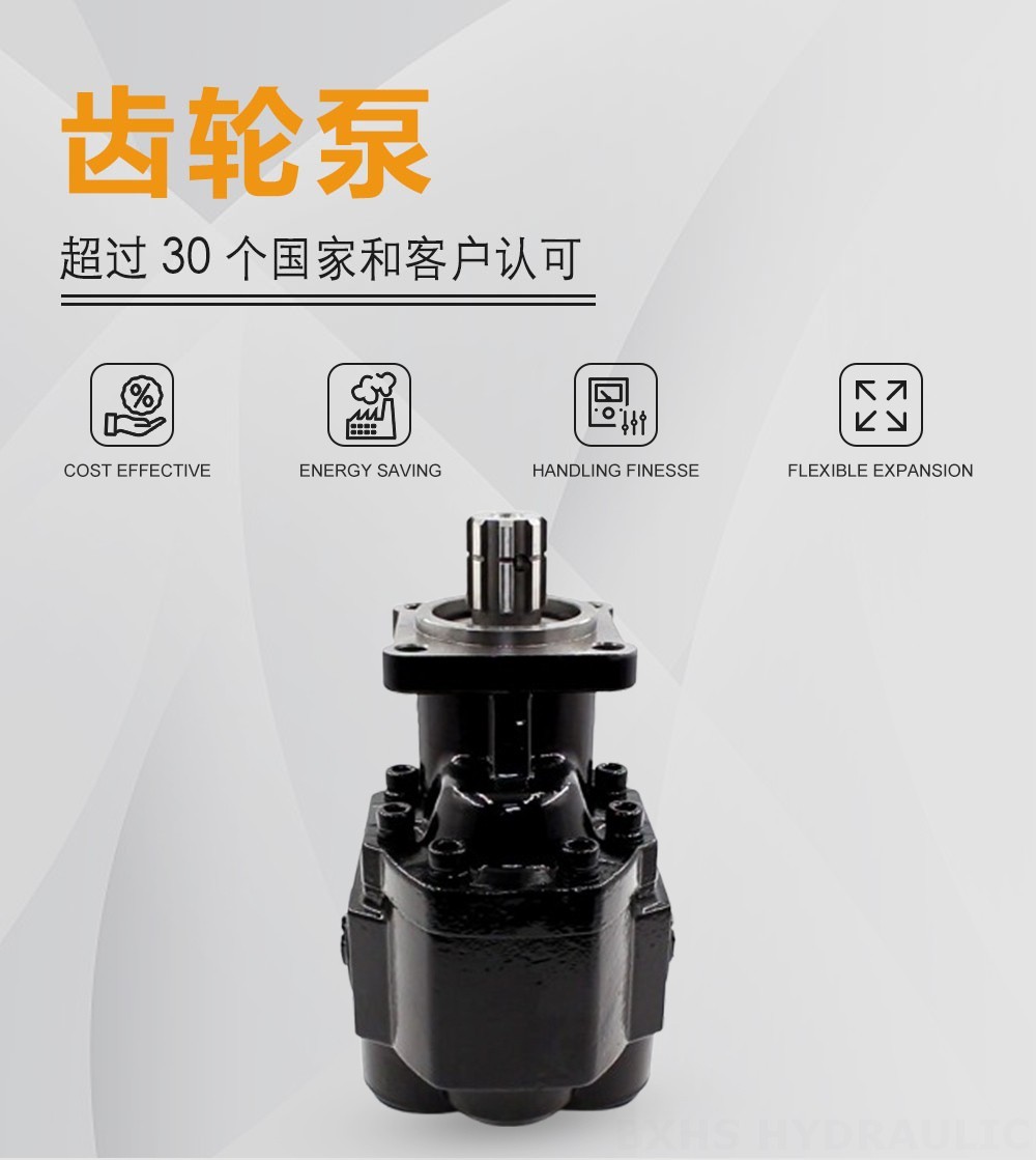 CBHST1-ISO-110 110 cc/rev 液压齿轮泵