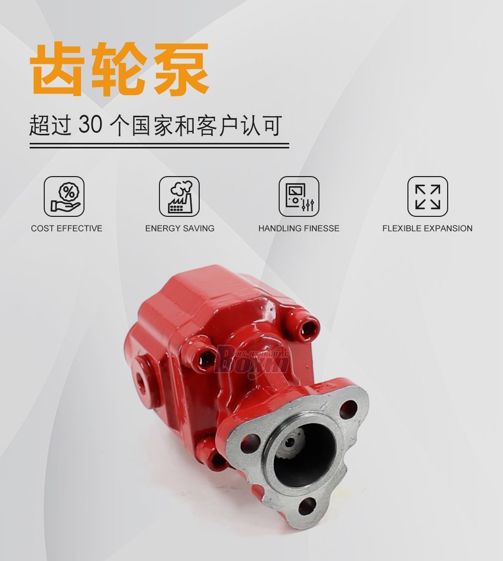 CBHX1025SK 25 毫升/转 20 MPa (2900 psi) 液压齿轮泵