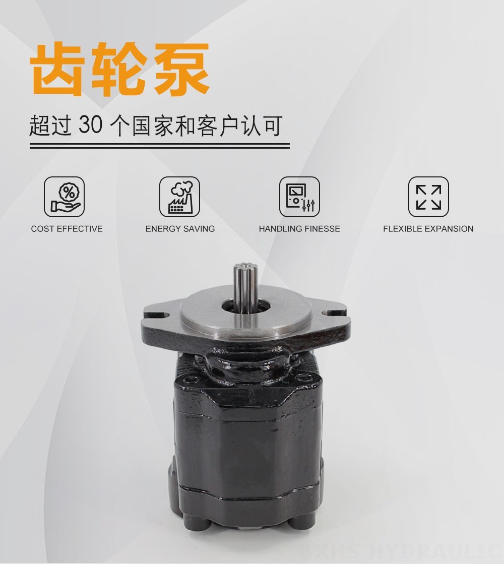 CBHZ-F20R 19.7立方厘米/转 液压齿轮泵