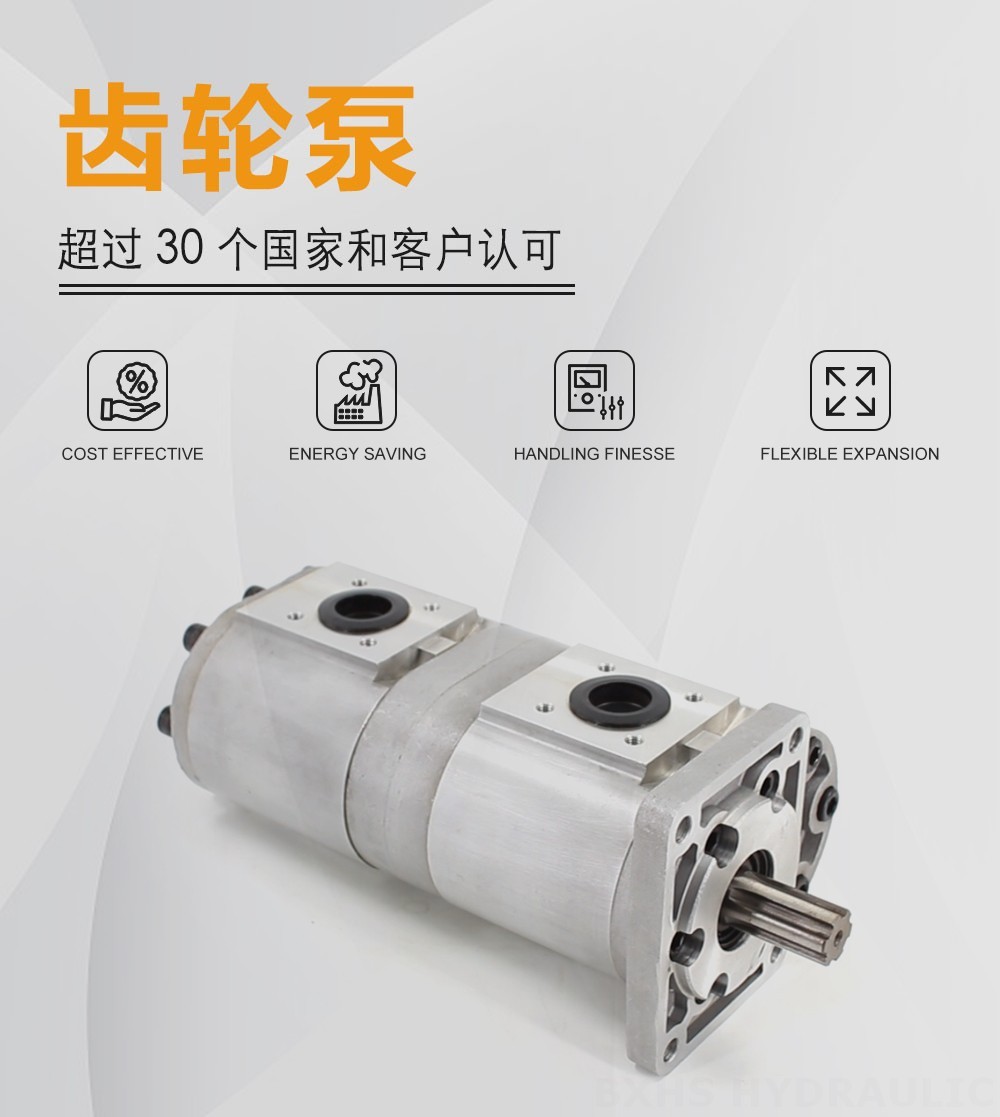 CBN-F540 40 cc/rev 液压齿轮泵
