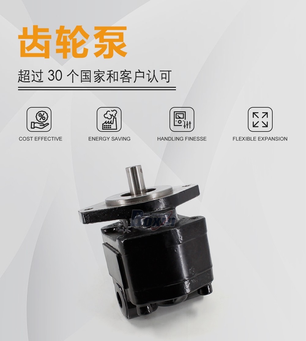CBHS-FC25 25 毫升/转 20 MPa (2900 psi) 液压齿轮泵