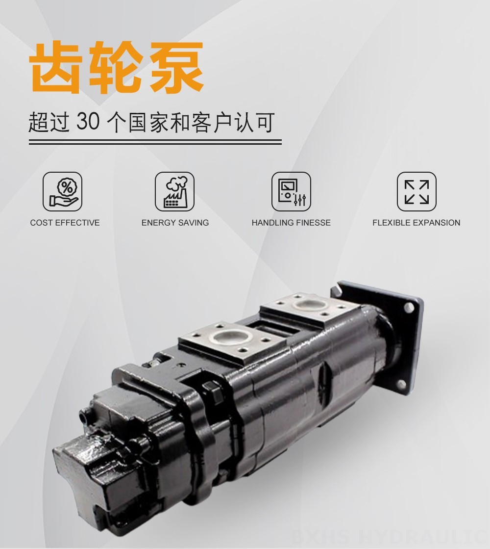 JHP2080-2080-1016 80 cc/rev 液压齿轮泵