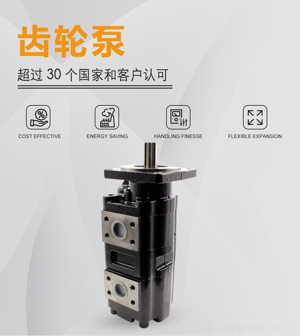 JHP2080-2080 80 cc/rev 液压齿轮泵