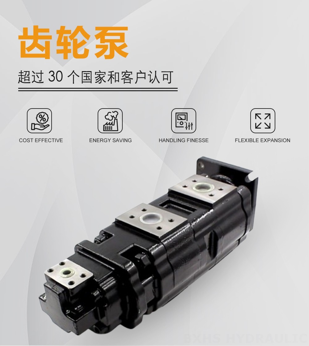 JHP2100-2080-1016 100 cc/rev 液压齿轮泵