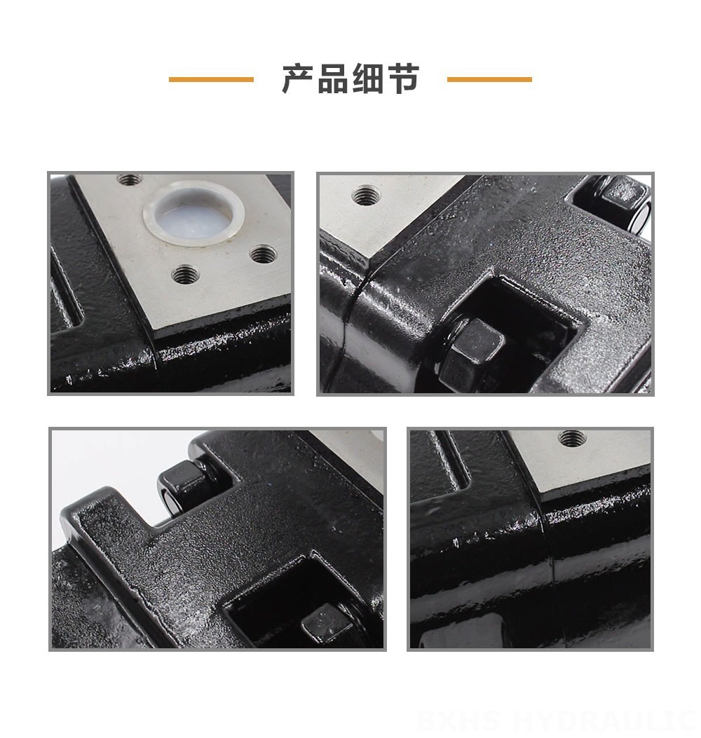 JHP2100-2080-1016 100 cc/rev 液压齿轮泵