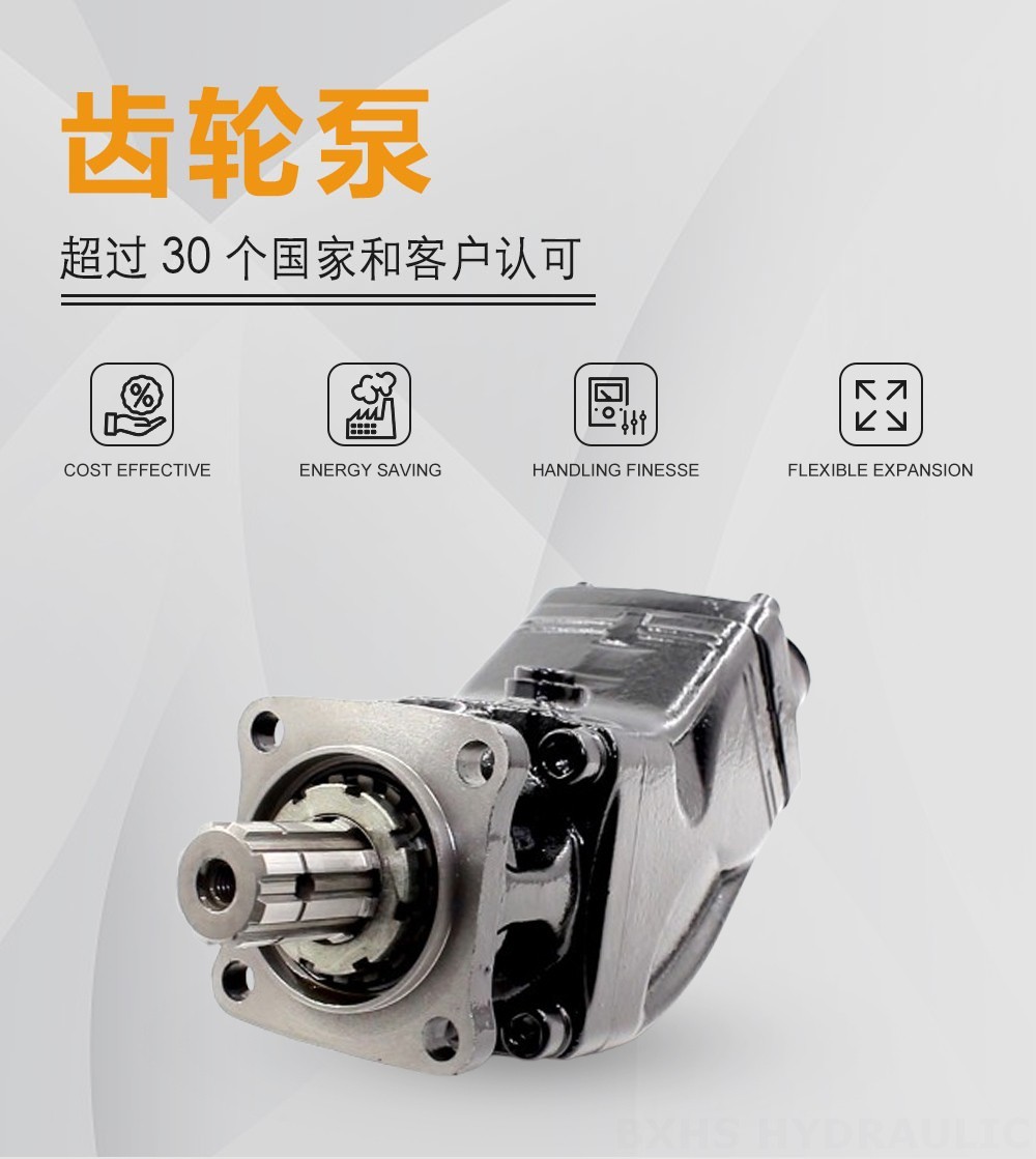 LB-63 63 cc/rev 液压柱塞泵