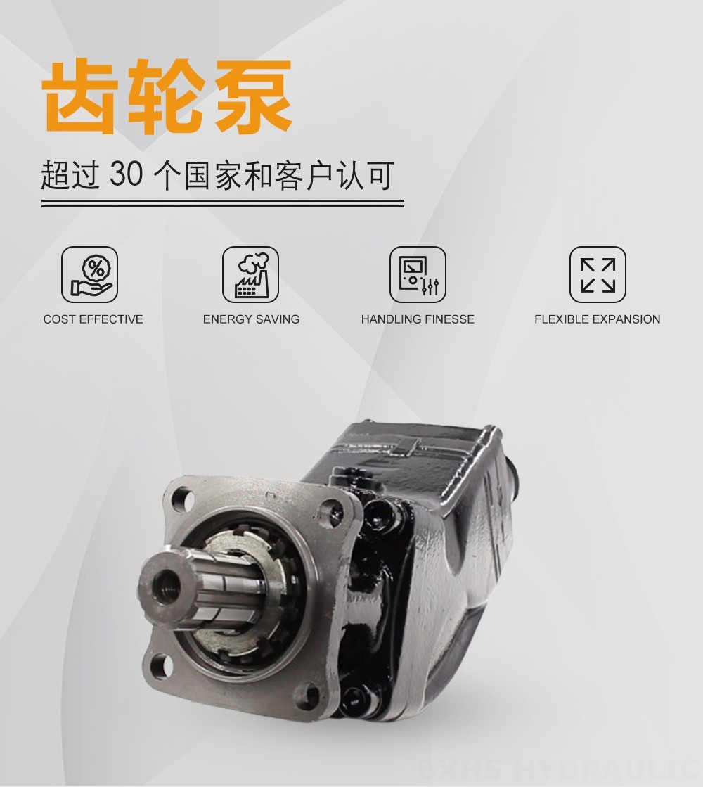 LB-80 80 cc/rev 液压柱塞泵