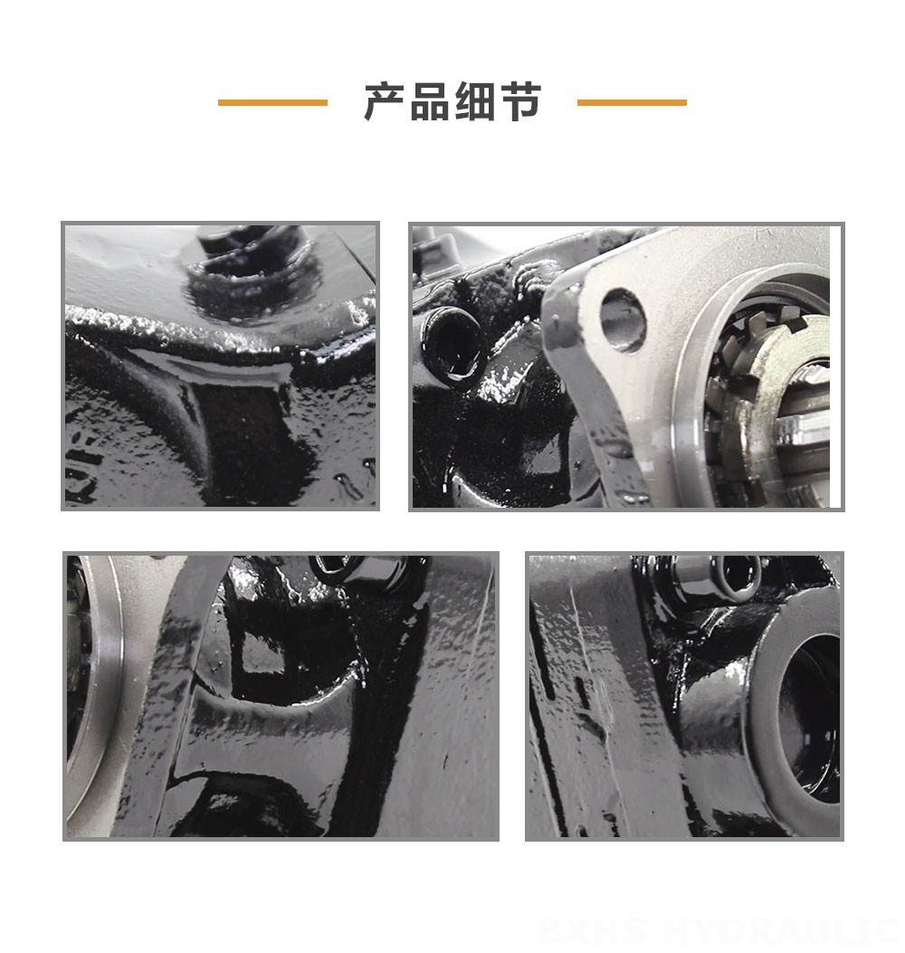 LB-80 80 cc/rev 液压柱塞泵