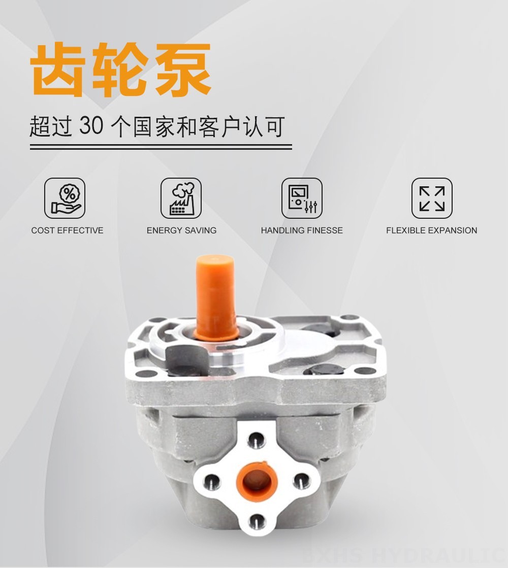 NSH10-M 10 cc/rev 液压齿轮泵