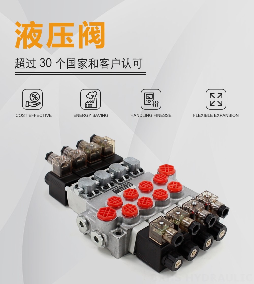P40-DS 电磁 4路 单块式方向阀