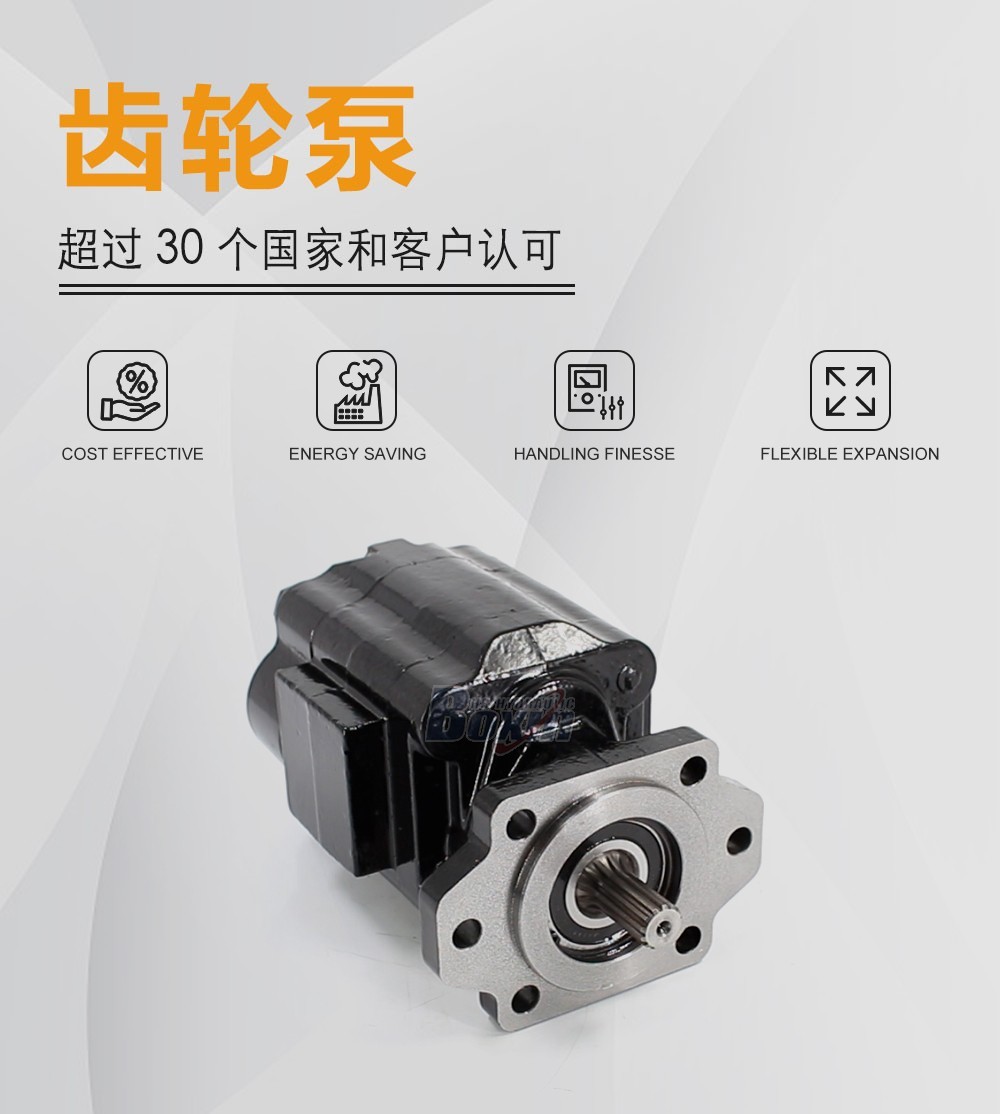 P51A646TEYR25-25 104.5 毫升/转 16 MPa (2320 psi) 液压齿轮泵