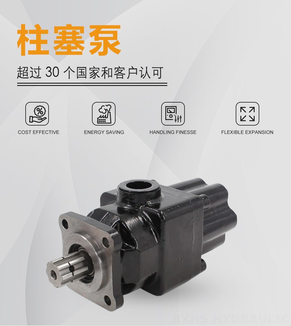 P6-40 40 cc/rev 液压柱塞泵