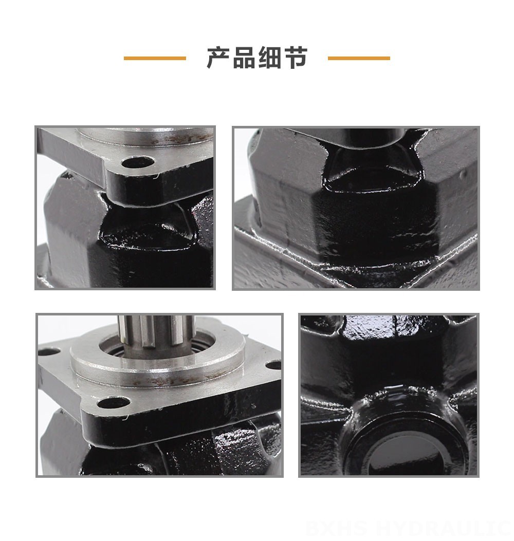 P6-40 40 cc/rev 液压柱塞泵