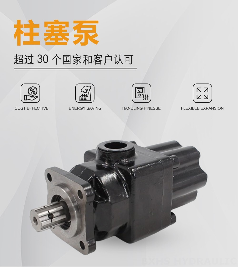 P7-63 63 cc/rev 液压柱塞泵