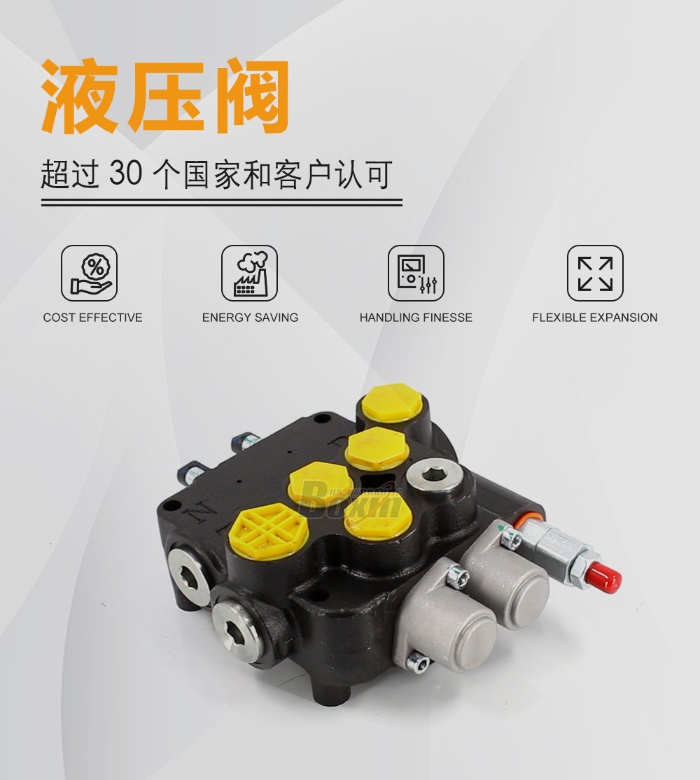 P80A-G-BT-OT 软轴 2 联 单块式方向阀
