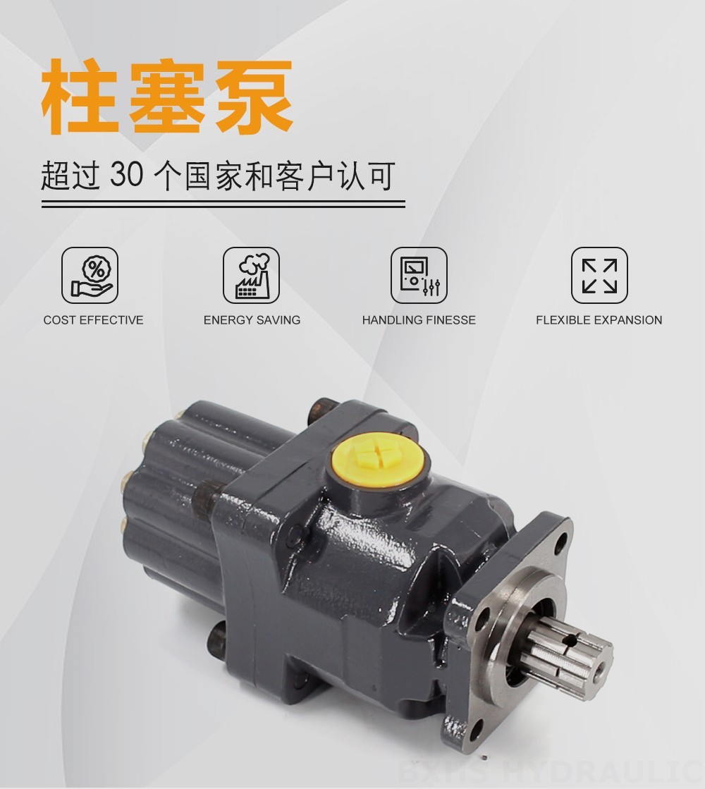 P9-80-H 80 cc/rev 20 MPa (2900 psi) 液压柱塞泵
