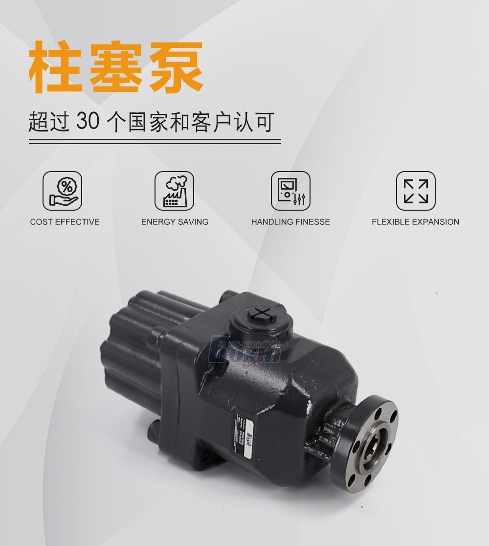 P9-80SK 80 毫升/转 25 MPa (3625 psi) 液压柱塞泵